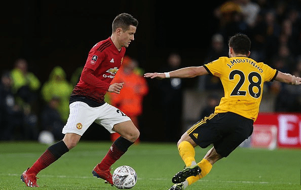 养的新星 养的新星